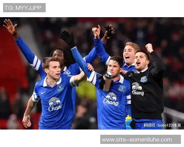 埃佛顿主场迎战莱斯特城双方争夺英超宝贵积分之战