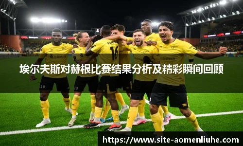 埃尔夫斯对赫根比赛结果分析及精彩瞬间回顾