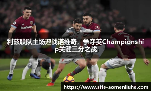 利兹联队主场迎战诺维奇，争夺英Championship关键三分之战
